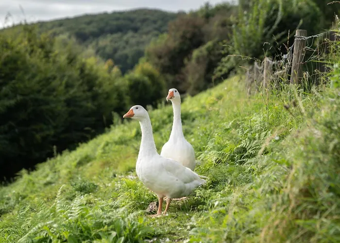 Chalet 9 Personnes Fecamp Etretat