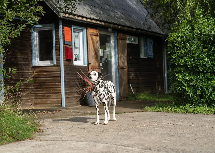 9 Personnes Fecamp Etretat