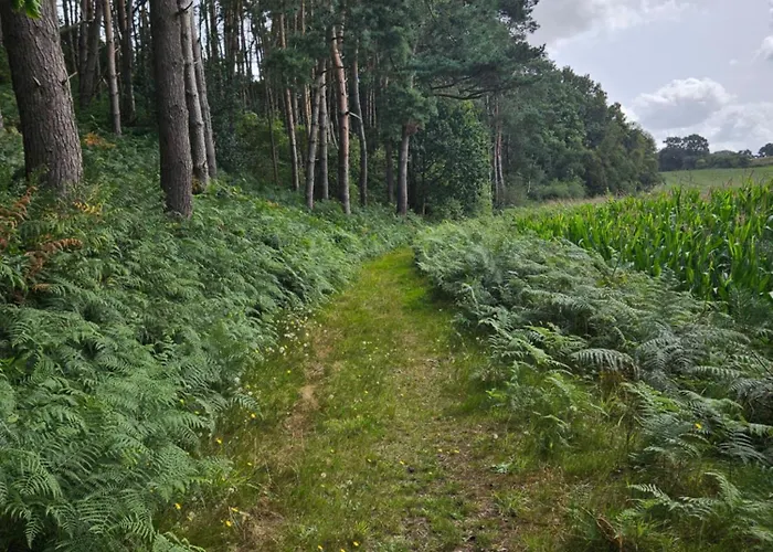 Chalet 9 Personnes Fecamp Etretat *